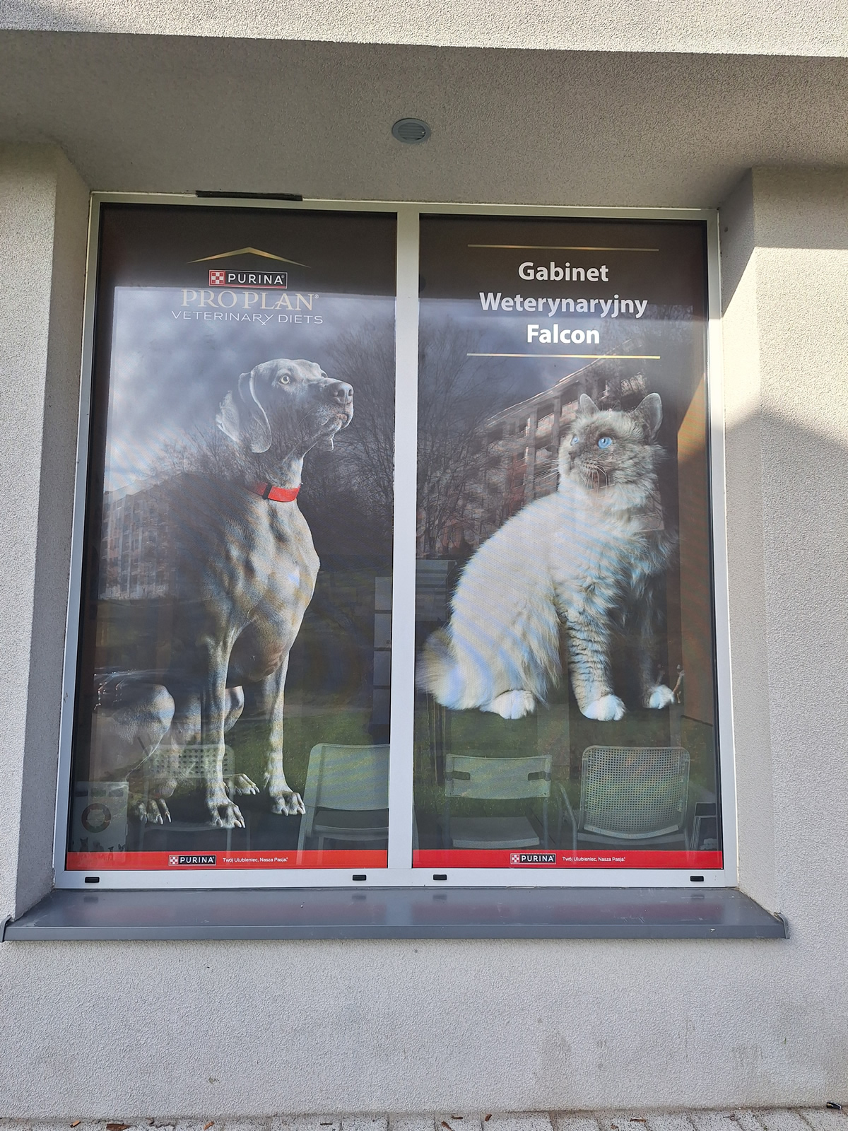 nowa witryna gabinetu